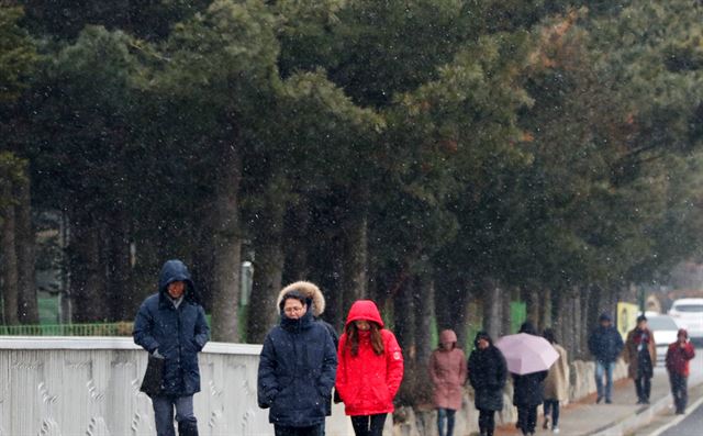 절기 상 첫눈이 내린다는 소설(小雪)인 22일 강원 평창군 대관령면 횡계리 천덕교 위를 지나는 시민들이 눈을 맞고 있다. 평창=연합뉴스