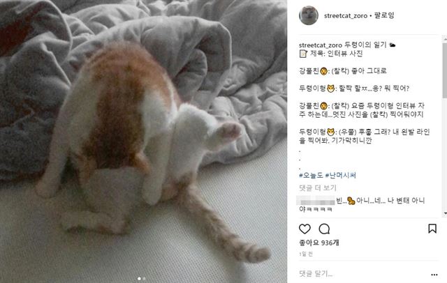 두령이형 인스타그램