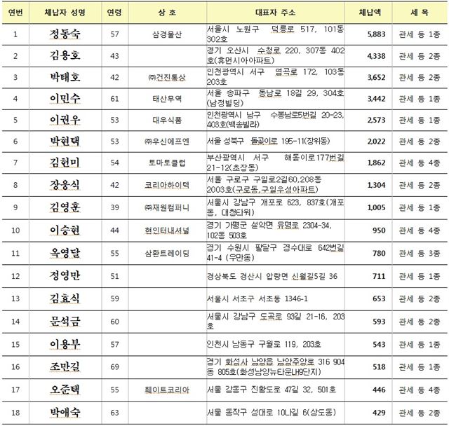 신규 개인 체납자 18인 명단. 관세청 제공