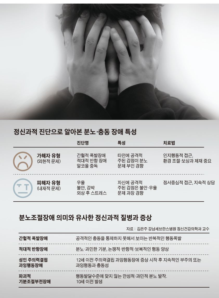 성별연령대별 간헐적 폭발장애