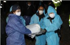 지난달 29일 경찰 감식반원들이 전북 군산시 오식도동의 한 야산에서 실종된 고준희 양의 시신을 찾아 옮기고 있다. 연합뉴스