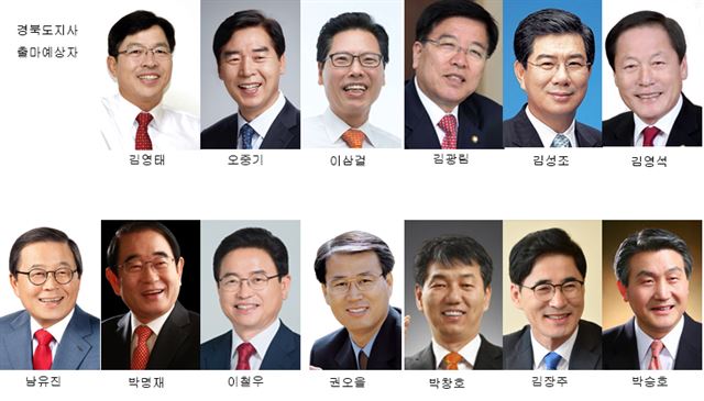 경북도지사 출마예상자