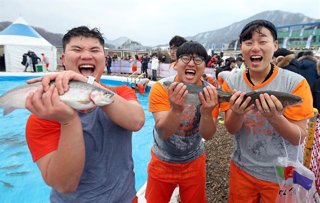 진부면 오대천에서 열리고 있는 제11회 평창송어축제 참가자들이 맨손으로 잡은 송어를 들어 보이고 있다. 평창군 제공