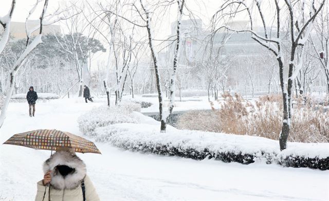 10일 오전 9시 충남 홍성에 12.5㎝의 눈이 내려 충남도청 직원들이 눈밭을 헤치며 출근하고 있다. 연합뉴스