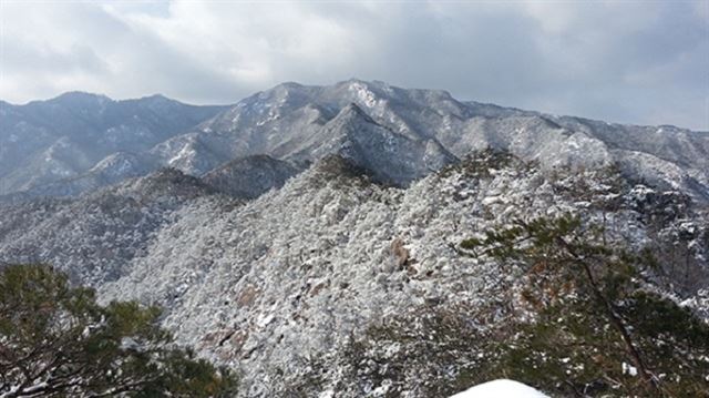 전남 곡성군 북쪽에 자리 잡은 동악산의 설경. 곡성군 제공