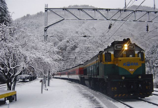 O-Train '환상선 눈꽃열차'가 승부역으로 들어서고 있다. 봉화군 제공