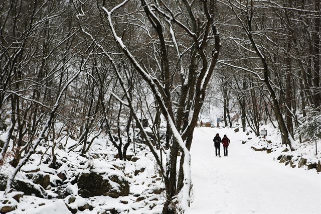 매표소를 지나 구곡폭포로 가는 산책로. 한국관광공사 제공