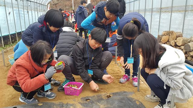 경북 구미의 농촌교육농장인 냉산쉼터에서 어린이들이 농가체험을 하고 있다. 경북도 농업기술원 제공