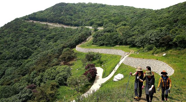 충남도가 도내 55곳에 조성된 걷기 길에 대한 통합관리를 추진한다. 사진은 백제부흥군길 임존성 구간 모습. 충남도 제공