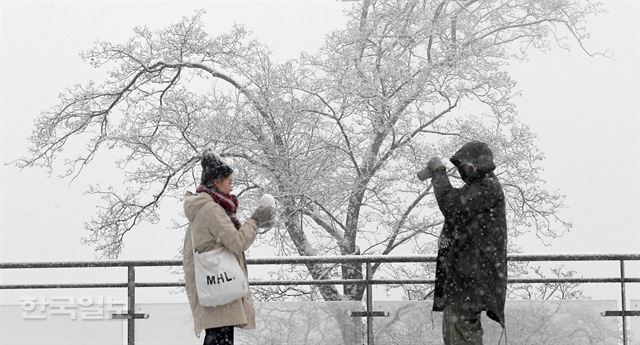 서울에 많은 눈이 내린 가운데 남산을 찾은 일본 관광객이 눈을 맞으며 겨울을 즐기고 있다. 서재훈기자