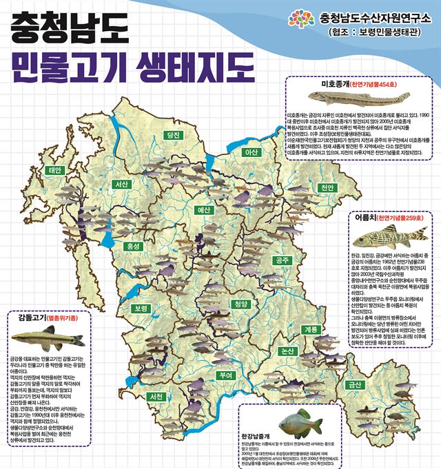 충남 민물고기 생태지도