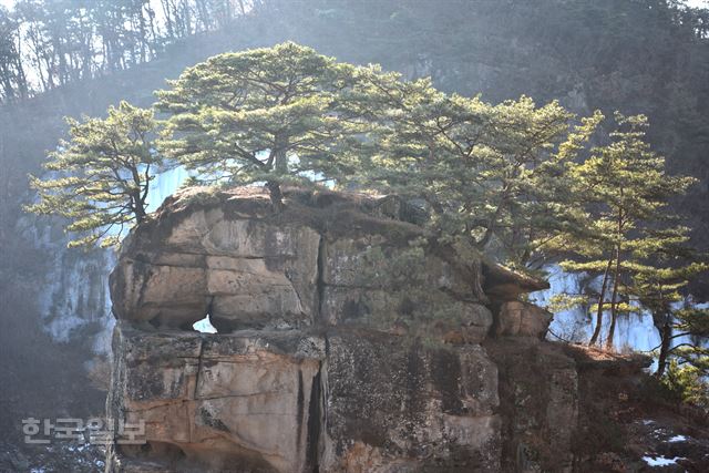 고석바위 위에 멋들어지게 올라 앉은 소나무.