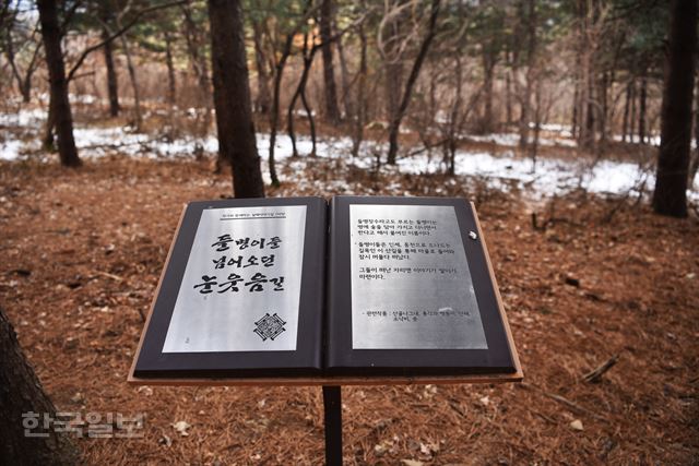 금병산 자락을 돌아오는 ‘실레이야기길’은 김유정의 작품을 소재로 16개 테마로 구성했다.