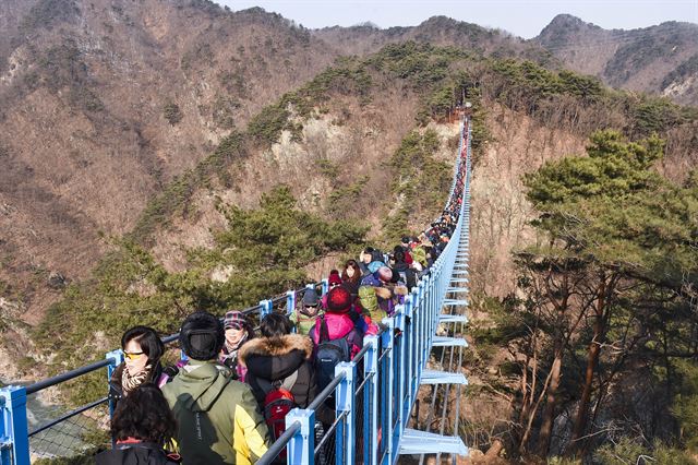 길이 200ｍ, 폭 1.5ｍ로 산악보도교 중 국내 최대규모인 원주 소금산 출렁다리가 지난달 28일 관광객들로 붐비고 있다. 연합뉴스