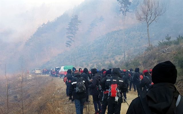 13일 강원 삼척시 도계읍 황조리 산불 현장으로 진화대가 투입되고 있다. 삼척시 제공