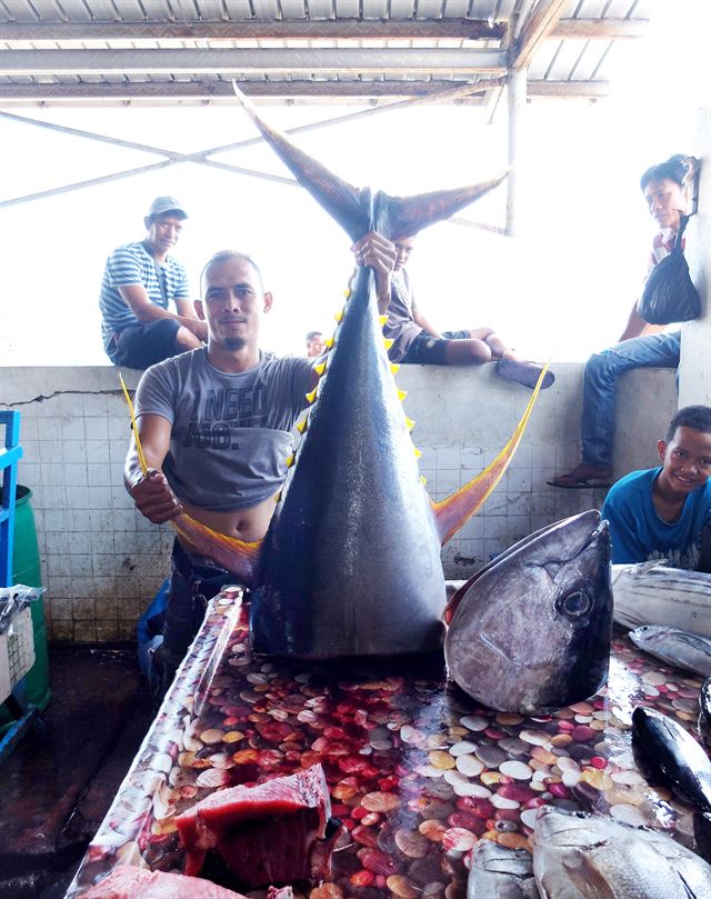 이날 시장의 포토제닉. 55kg 헤비급 참치와 참외 배의 컬래버레이션. 시장은 ‘사진 찍히기’를 즐긴다.