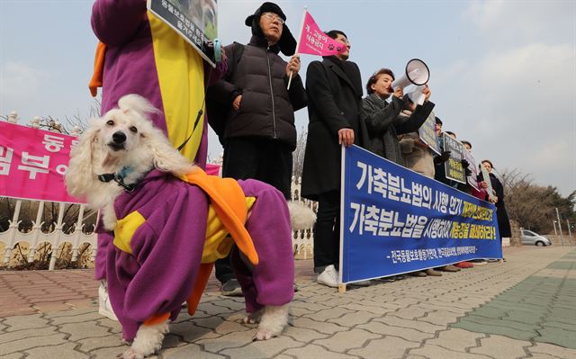 동물보호활동가연대 회원들이 지난 14일 오후 서울 여의도 국회 앞에서 '가축분뇨법 시행 연기 반대' 기자회견을 했다. 연합뉴스