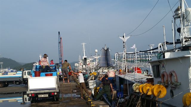 [한국일보 자료사진] 전남 완도항 전경.