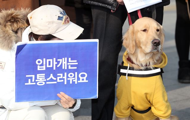 지난달 21일 서울 종로구 정부서울청사 앞에서 동물권단체 ‘케어’가 기자회견을 열고 체고 40㎝이상의 개 입마개 의무화에 반대를 주장하고 있다. 뉴시스