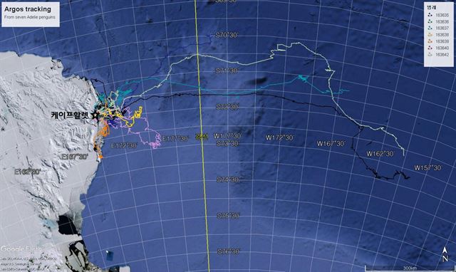 2016년 11월 22일부터 2017년 2월 2일까지 남극 로스해 케이프할렛에 번식하는 7마리 아델리펭귄의 이동경로. ‘163641’ 펭귄은 약 한 달 동안 약 1,000㎞ 가량을 이동했다. 극지연구소 제공