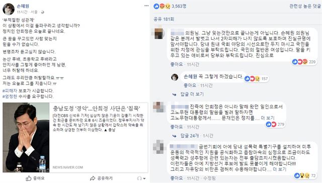 손혜원 더불어민주당 의원 페이스북