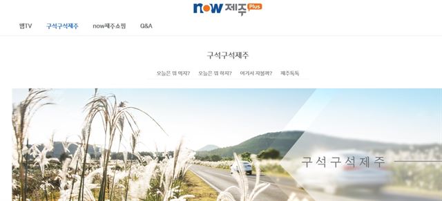 'NOW제주Plus'(www.nowjejuplus.co.kr) 인터넷 사이트 화면.