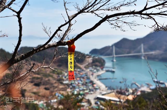 등산이 끝나는 지점의 어느 산악회 리본.