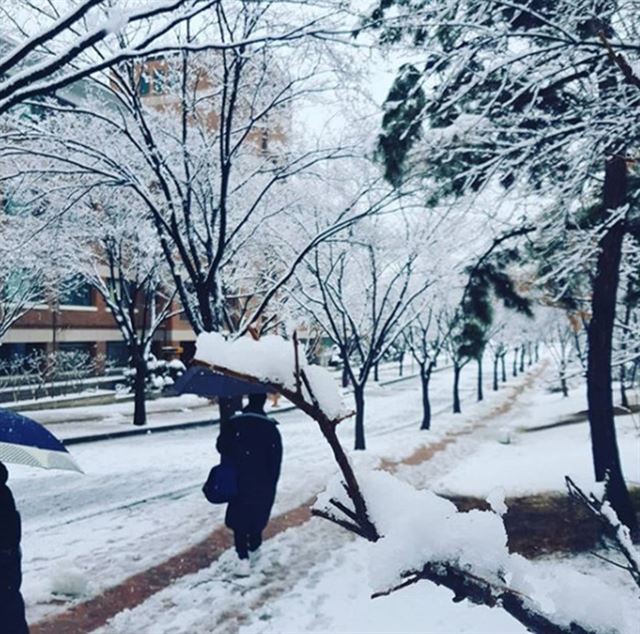 인스타그램 이용자 제공