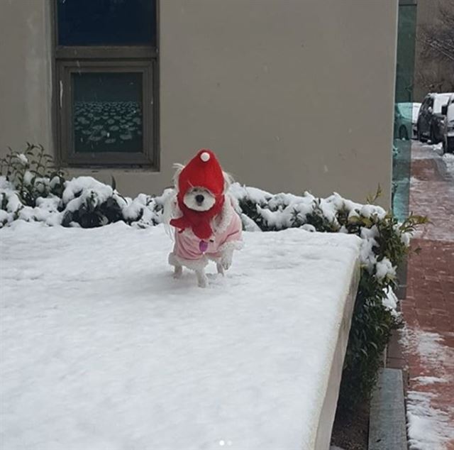 인스타그램 이용자 제공