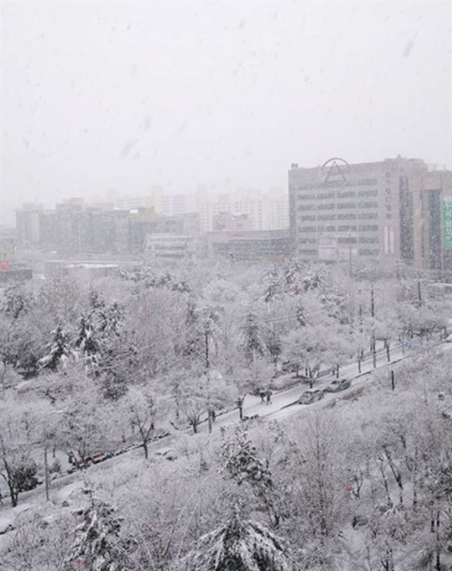 인스타그램 이용자 제공