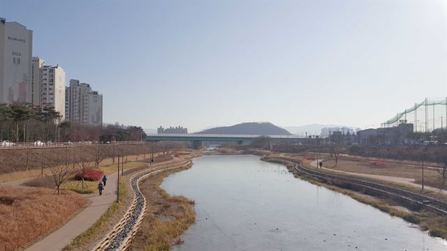 금호강 생태하천 복원사업이 완료된 무태-검단동 구간 전경. 대구 북구 제공