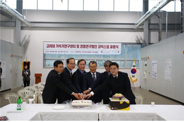 13일 고려대 세종캠퍼스에서 '고려대 가속기 연구센터 및 과학벨트 기능지구 지원사업 공동연구법인(코넥스알) 출범식'이 열렸다. (왼쪽부터) 황리호(주)비츠로테크 상무, 정영욱 한국원자력연구원 센터장, 김은산 고려대 가속기연구센터장, 안정오 고려대 세종부총장, 이흥식 고려대 과학기술대학장, 정호원 코넥스알 대표이사. 고려대 세종캠퍼스 제공.