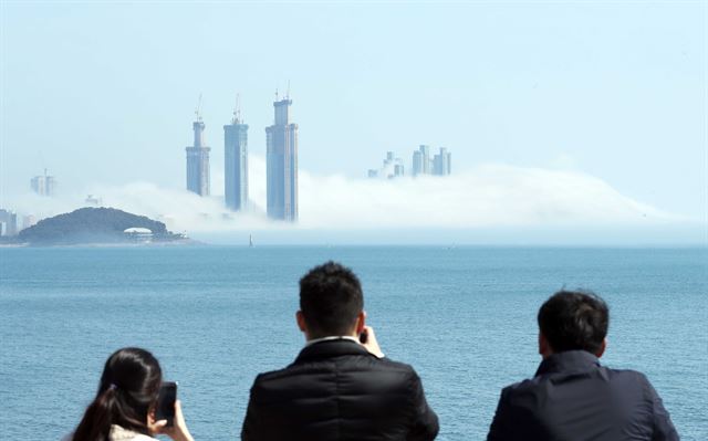 14일 부산 해운대 앞바다에 발생한 해무가 해운대해수욕장과 달맞이 언덕 일대를 뒤덮어 장관을 이루고 있다. 이기대공원에서 시민이 해무를 바라보고 있다. 최고 101층 규모로 공사 중인 엘시티 건물 일부와 달맞이언덕에 있는 고층건물 대부분이 해무에 가려져 있다. 부산=연합뉴스