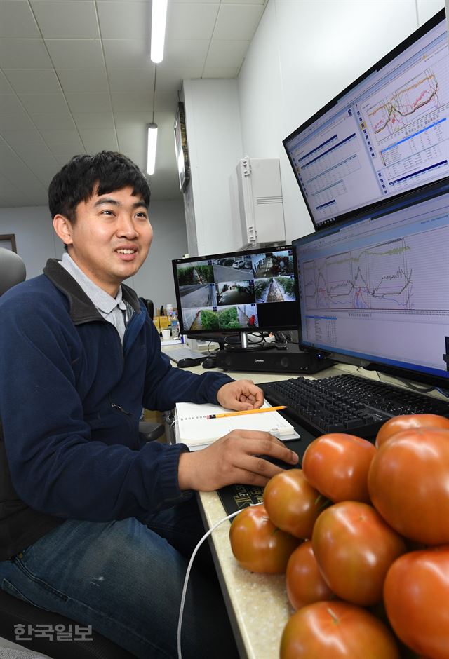 전북 김제 하랑영농조합법인 허정수 대표가 첨단 자동제어 시스템을 이용해 토마토 재배 온실 안 상태를 살피고 있다. 김제=배우한 기자 bwh3140@hankookilbo.com