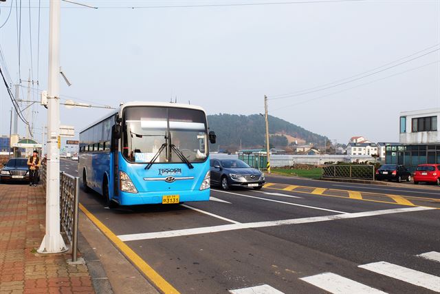 버스를 이용하는 경우는 시내로 술 마시러 가는 날 뿐.