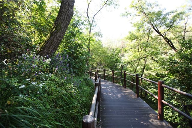 서울 서대문구 안산 공원 산책로. 안산의 29%는 사유지로 서울시가 매입하지 않으면 2020년 7월 개발 위기에 놓이게 된다. 서대문구청 블로그 캡처