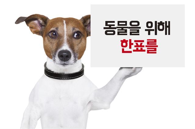 동물 관련 공약은 이제 선거 때마다 빠지지 않고 등장하고 있다.