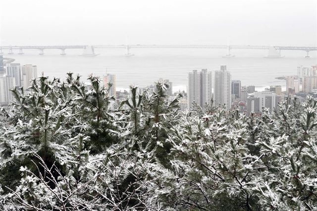 춘분인 21일 오전 부산 황령산에 눈이 내려 설경을 연출하고 있다. 멀리 광안리 앞바다와 광안대로가 보인다. 고지대인 금정구 산성로, 북구 만덕고개길, 연제구 황령산로 등 8곳의 교통이 통제되고 있다. 연합뉴스