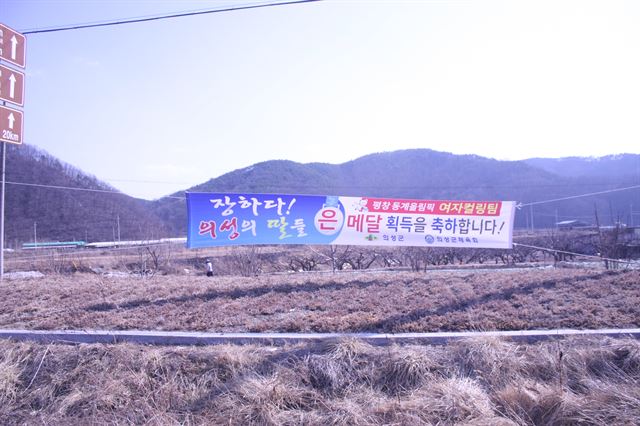 의성 지역 곳곳에 내걸린 축하 현수막.