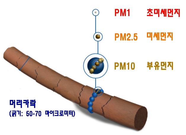 미세먼지 크기