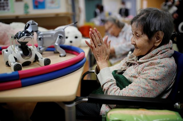 일본 도쿄의 신토미 보호소에서 애견 로봇 '아이보(AIBO'와 대화하기 위해 손뼉을 쳐 소리를 내고 있다. 로이터 연합뉴스