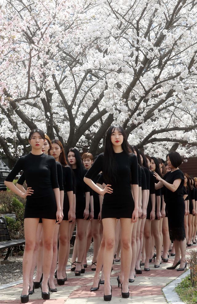 화창한 봄 날씨를 보인 3일 대전 유성구 대덕대에서 이 학교 모델과 학생들이 워킹 수업을 받고 있다.연합뉴스