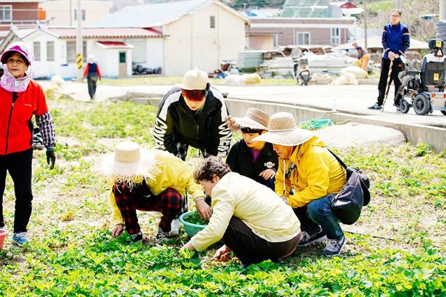 MBC ‘가자! 낭만 고향’.