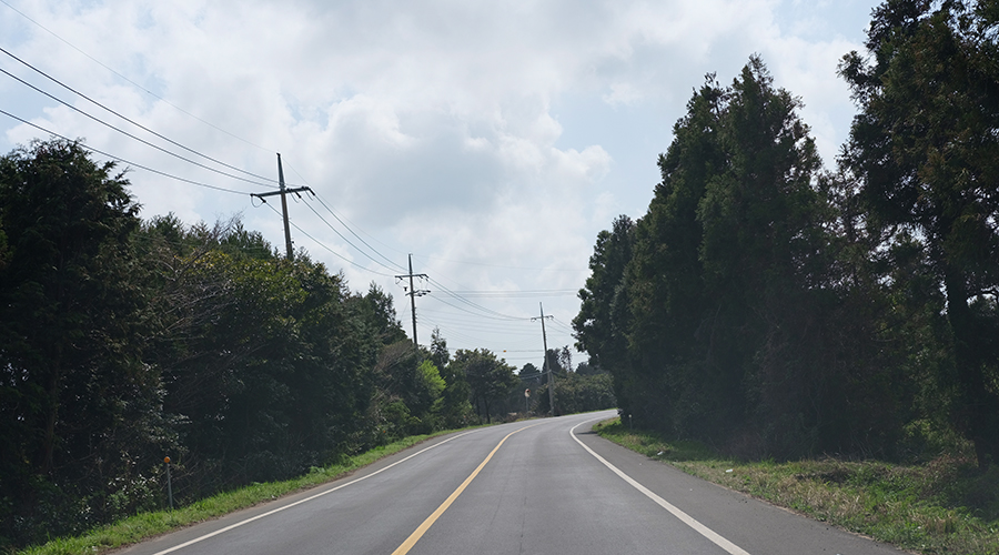 3008 jeju driving (10)