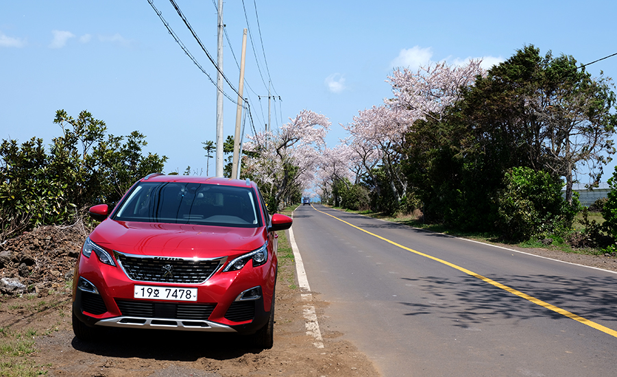 3008 jeju driving (7)