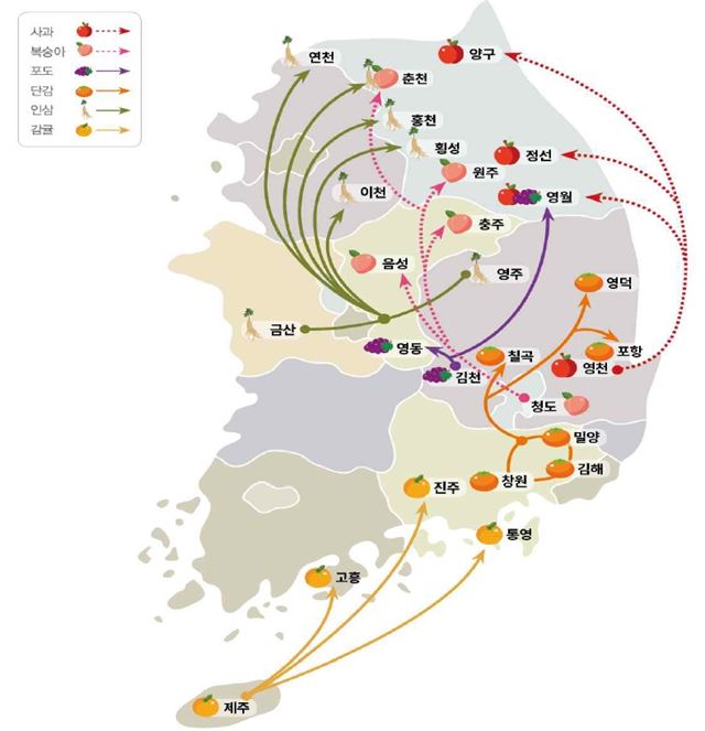 1970~2015년 통계청 농림어업총조사 분석 결과 사과, 복숭아, 포도 등의 주산지가 기온 상승으로 인해 북상한 것으로 나타났다. 통계청 제공