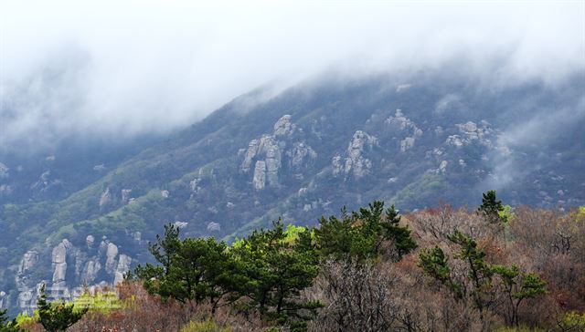 비가 갠 후 운무에 휩싸인 마복산 능선.