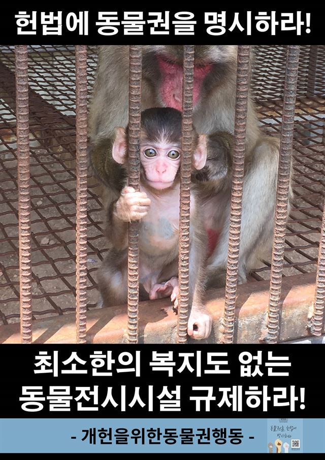 '개헌을 위한 동물권 행동'의 서명운동 포스터. 개헌동동