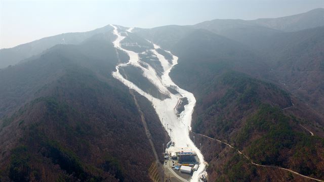 평창올림픽 알파인 스키 종목이 펼쳐졌던 강원 정선군 가리왕산 알파인 경기장. 폐막 이후 생태복원과 존치를 놓고 의견이 엇갈리고 있다. 연합뉴스