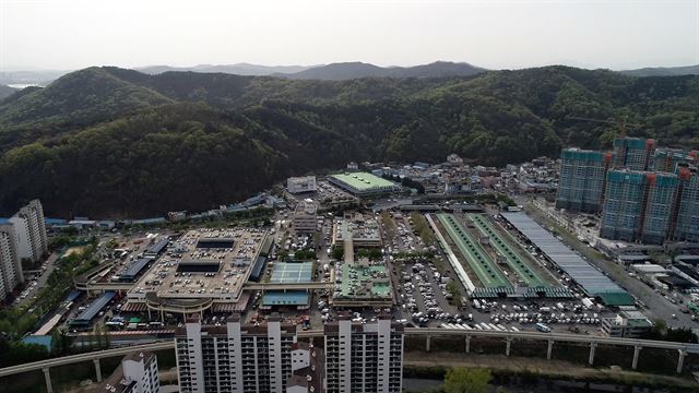 대구농수산물도매시장 전경. 대구시 제공